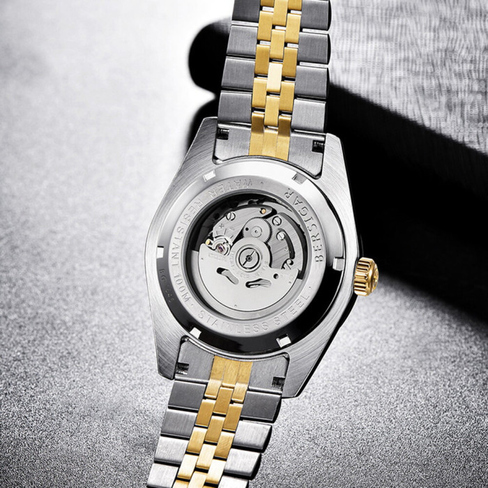 Наручний годинник Pagani Design PD-1645 Silver-Gold-Brown