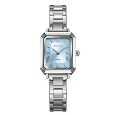 Skmei 2582SIBU Silver-Blue